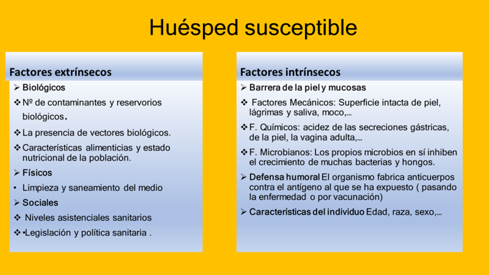 Cadena de infección o epidemiológica