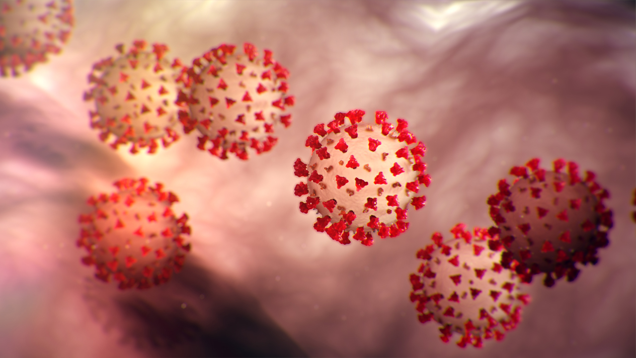 Cadena de infección o epidemiológica