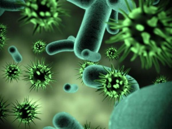 Orden SND/404/2020, de 11 de mayo, de medidas de vigilancia epidemiológica de la infección por SARS-CoV-2 durante la fase de transición hacia una nueva normalidad