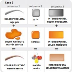 Micropigmentación correctiva de cejas