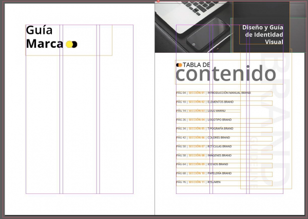 Introducción manual Brand