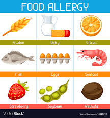 ALIMENTOS ENVASADOS