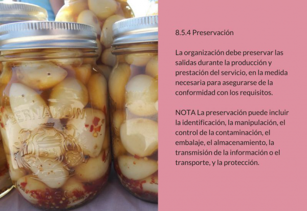 Preservación (8.5.4)