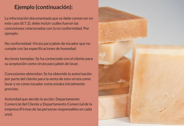 Control de las salidas no conformes (8.7)