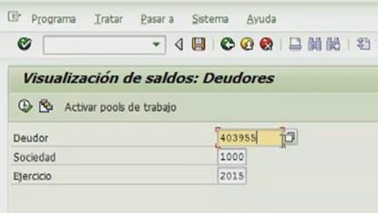 25.- CONSULTA DE SALDOS DE LOS DEUDORES.