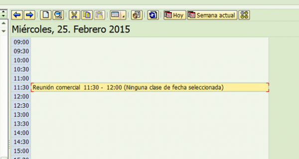 45.- MANTENIMIENTO DE LA AGENDA