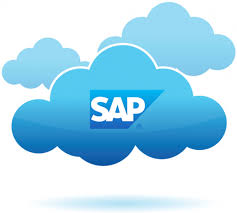 Ejercicio 2 SAP LO: FD32. Deshabilitar límite de crédito del cliente