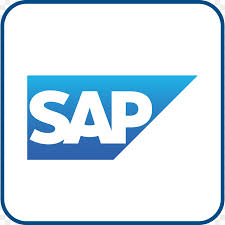 1.9.2. Gestión de informes SAP ERP