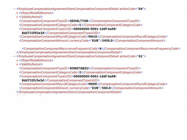 6.4.1.13 Procesamiento de nóminas para Alemania: Especificaciones de archivos de nóminas XML - 5