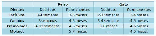 TEMA 1. ANATOMÍA Y FISIOLOGÍA. 2. TOPOGRAFIA Y MORFOLOGÍA