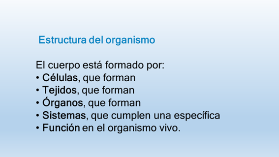 TEMA 1. ANATOMÍA Y FISIOLOGÍA. 3. LA BIOLOGIA MOLECULAR