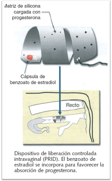 FORMAS FARMACÉUTICAS DE ADMINISTRACIÓN ORAL