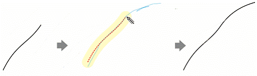 Dibujo de líneas caligráficas y preestablecidas