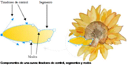 Asignación de forma a objetos