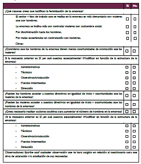 Anexo VI. Modelo de cuestionario para la plantilla