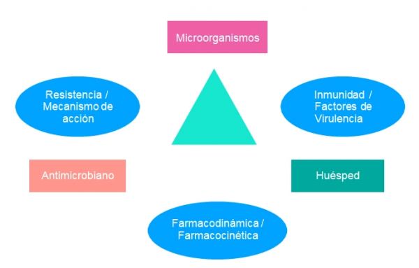 1. INSULINA