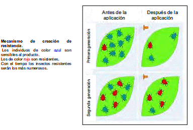 UNIDAD DIDÁCTICA 3: BUENAS PRÁCTICAS AMBIENTALES EN RELACIÓN A LA PRESERVACIÓN DE LOS RECURSOS NATURALES, BIODIVERSIDAD, FLORA Y FAUNA. ELIMINACIÓN DE ENVASES