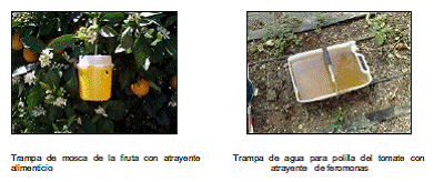 UNIDAD DIDÁCTICA 7. MÉTODOS DE APLICACIÓN DE PRODUCTOS FITOSANITARIOS. FACTORES A TENER EN CUENTA PARA UNA APLICACIÓN EFICIENTE Y CORRECTA