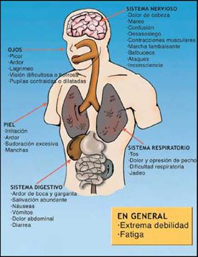 4. Riesgos para el aplicador. Intoxicaciones y otros efectos sobre la salud