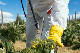 6. La etiqueta de los productos fitosanitarios