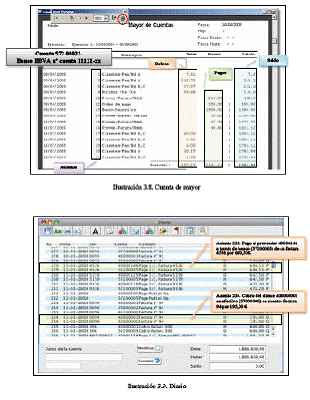 3.8 Formatos reales de cuentas de mayor y diario