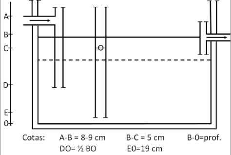 CLARIFICACIÓN DE LOS ACEITES DE OLIVA VÍRGENES