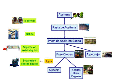 Elaboracion del aciete de oliva