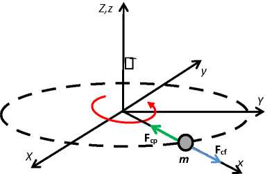 CLARIFICACIÓN DE LOS ACEITES DE OLIVA VÍRGENES