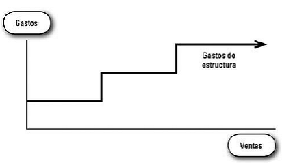 Presupuesto de producción y existencias de productos acabados