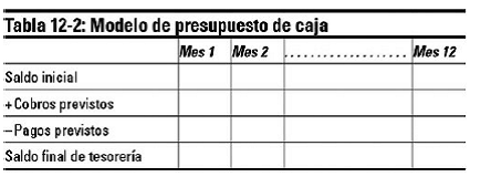 Capítulo 12 Preparación de los estados financieros previsionales