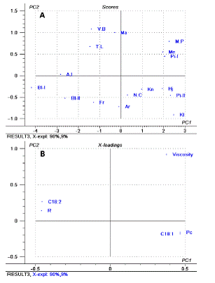 3.3 Physical properties