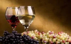 Curso online de enologia y cata de vinos