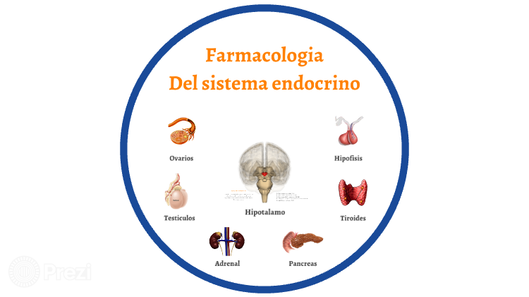 Farmacología Ii Sistema Nervioso Sistema Endocrino Terapia Infecciosa Cursos Online